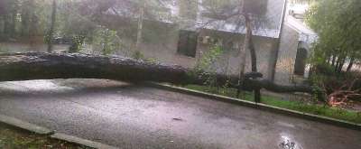 PAO BOR U VELIKOM GRADSKOM PARKU