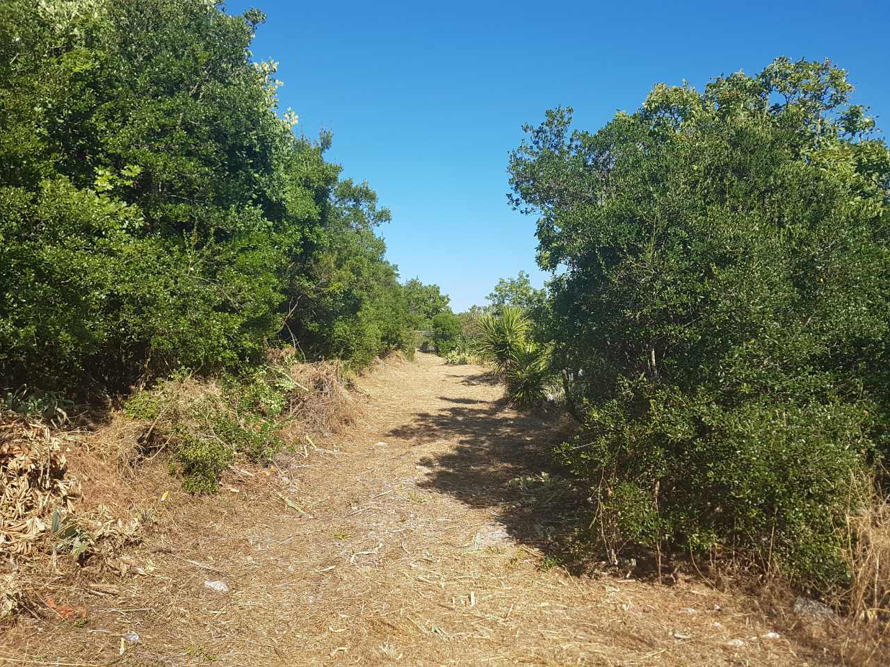 Nesavjesni građani ne biraju lokacije za odlaganje otpada