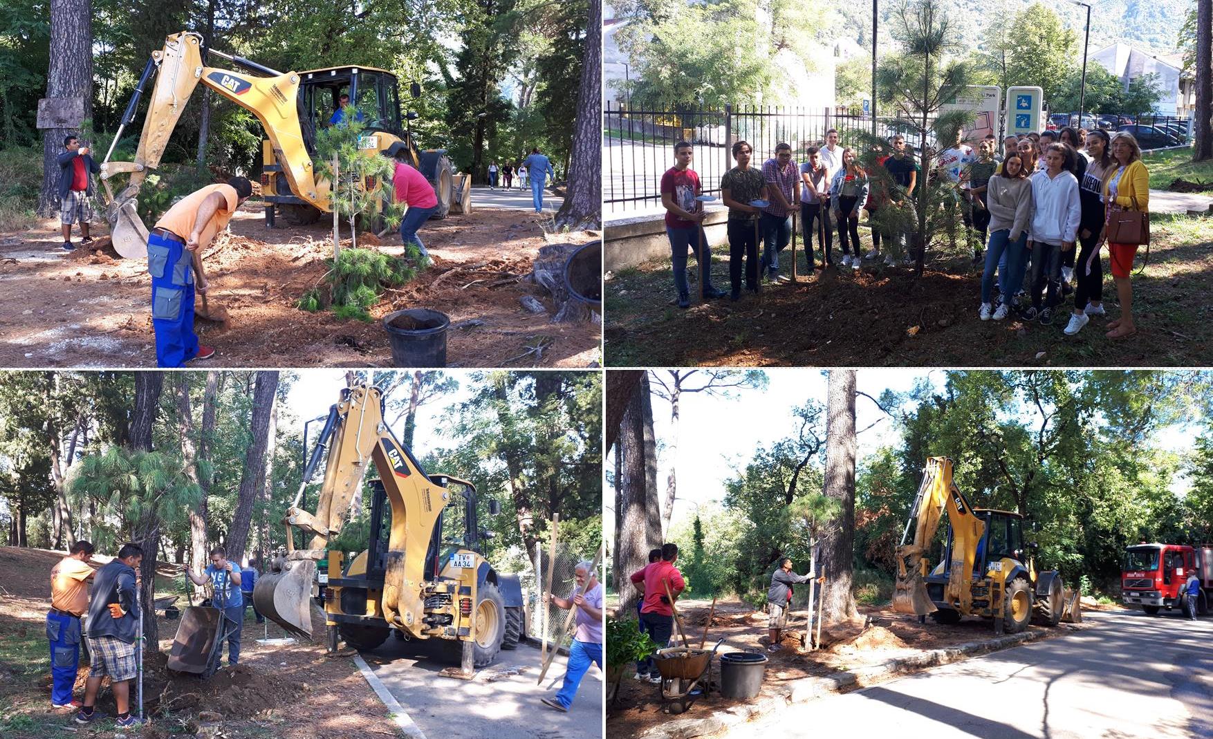 Akcija sadnje u Velikom gradskom parku