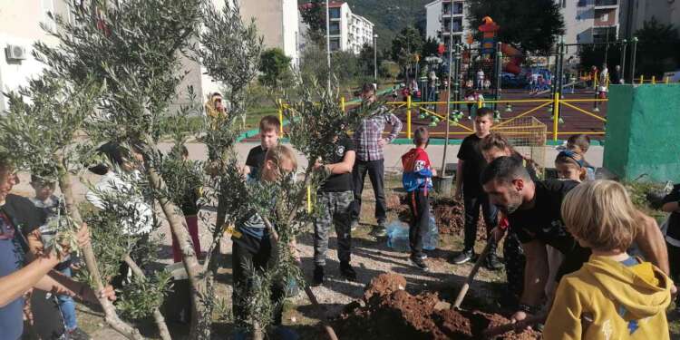Ozelenjavanje prostora oko dječijeg igrališta na Seljanovu