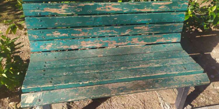 Počelo obnavljanje klupa na Trgu magnolija